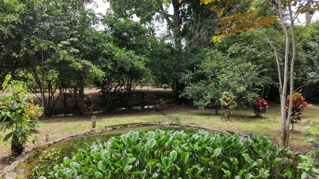 Home Construction Site For Sale in Daniel Flores