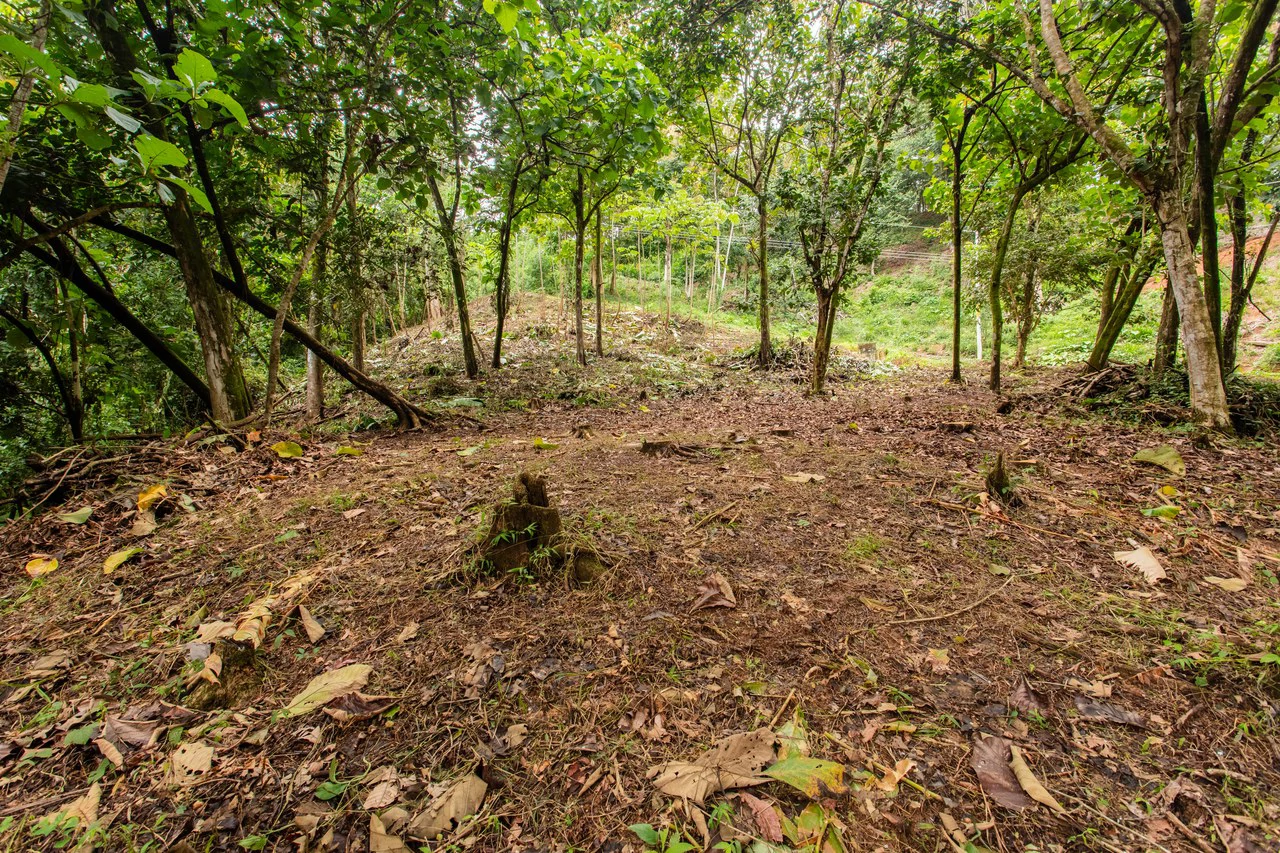 2.4 Acre Property In The Mountains Above Dominical with Waterfall Views - Gallery image 18