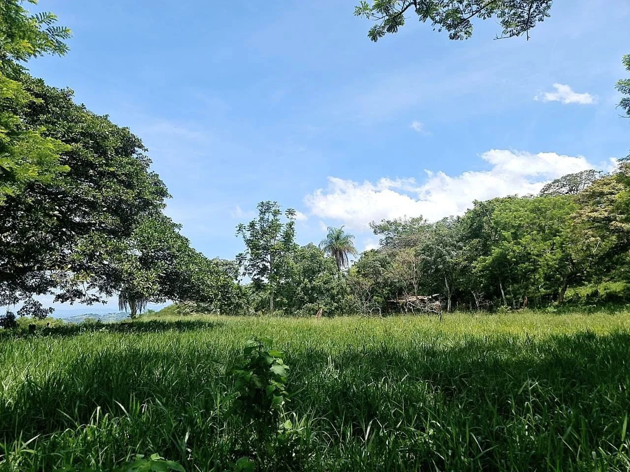 Near the Coast and Mountain Home Construction Site For Sale in Orotina y Caldera - Gallery image 16