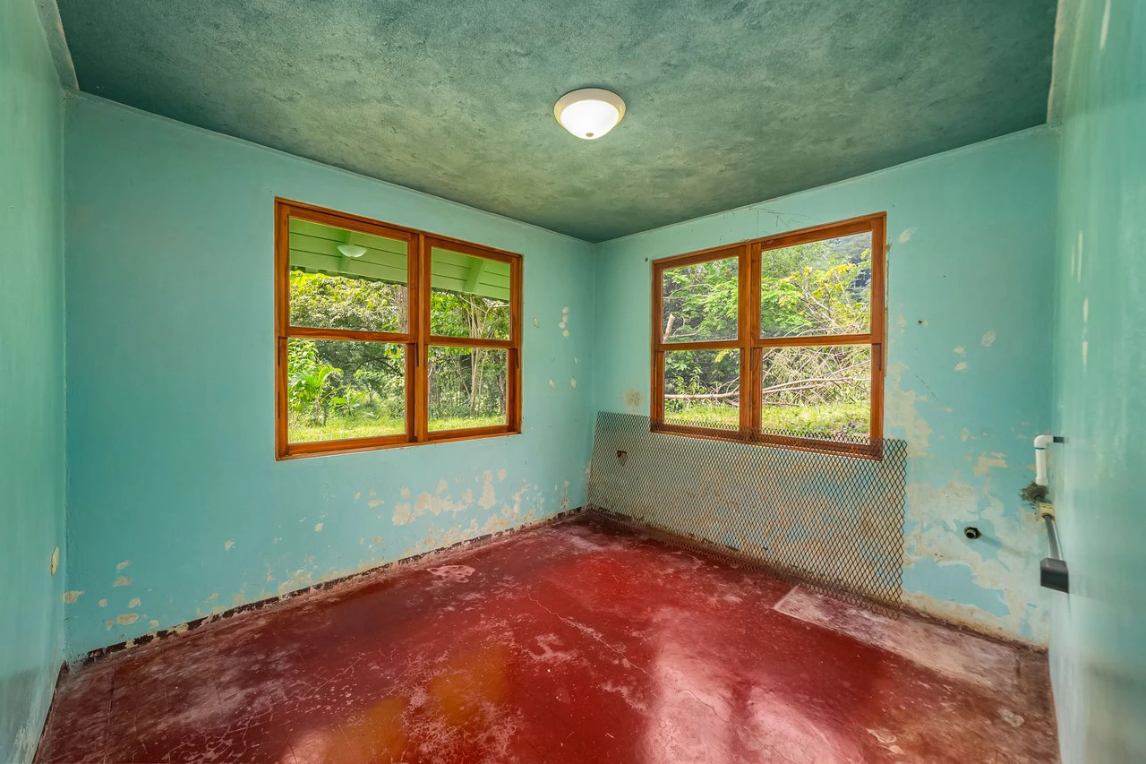 Casa Verde: Your Green Dream - Gallery image 25