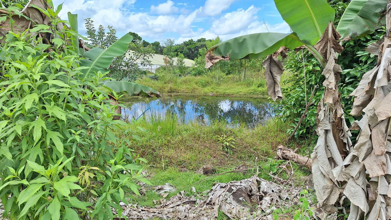 Se vende lote agrícola, en Cajón, Perez Zeledon.: Mountain Home Construction Site For Sale in Cajón - Gallery image 12