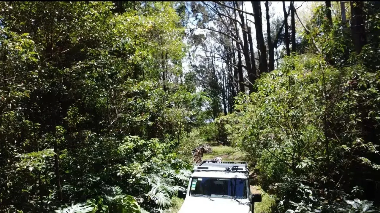 A Hidden Gem in the Heart of Nature | Land in San Rafael de Heredia - Gallery image 5