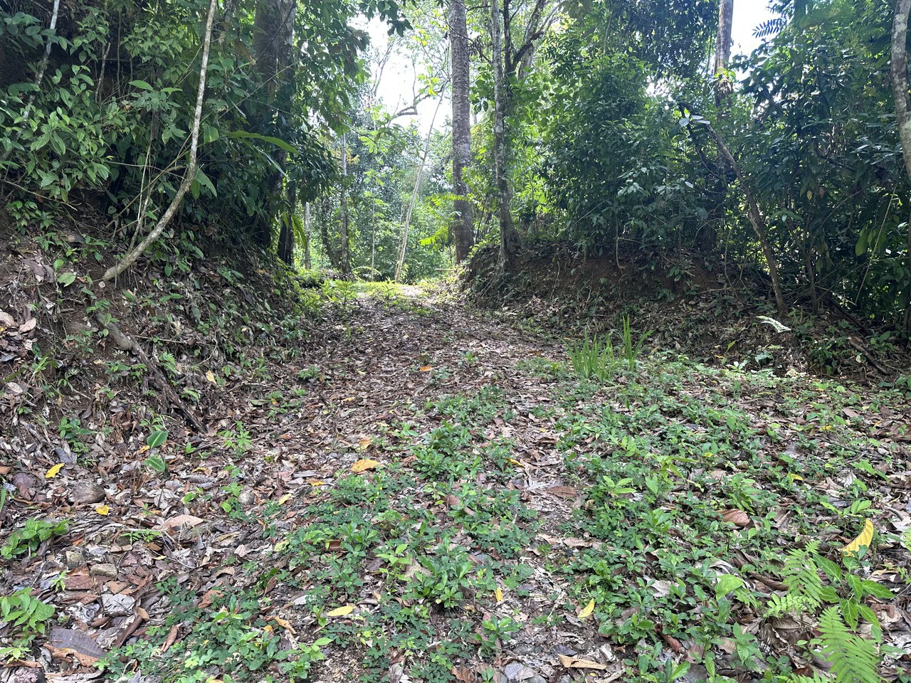 Ocean View Estate Lot with Private Waterfall – Uvita - Gallery image 24