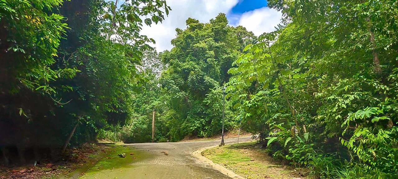 LAND FOR SALE IN COSTA ESTERILLOS ESTATES - Gallery image 4