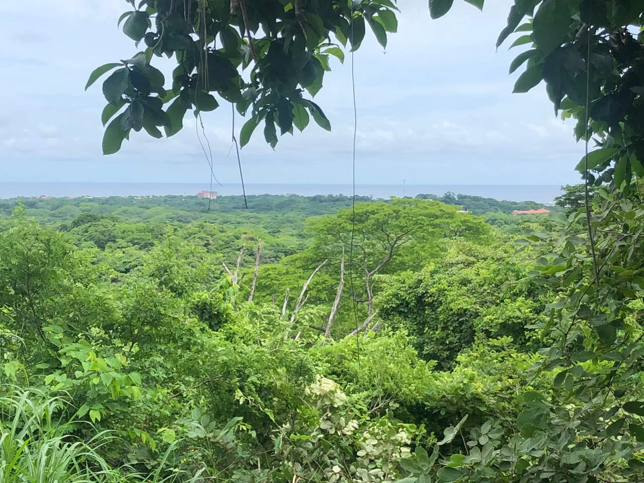 Spectacular private ocean view farm in Tamarindo, Costa Rica - Gallery image 2