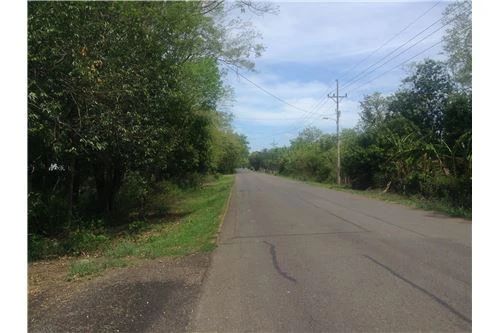 Commercial land in Guanacaste 0.87ha : 900701029-120 - Gallery image 11
