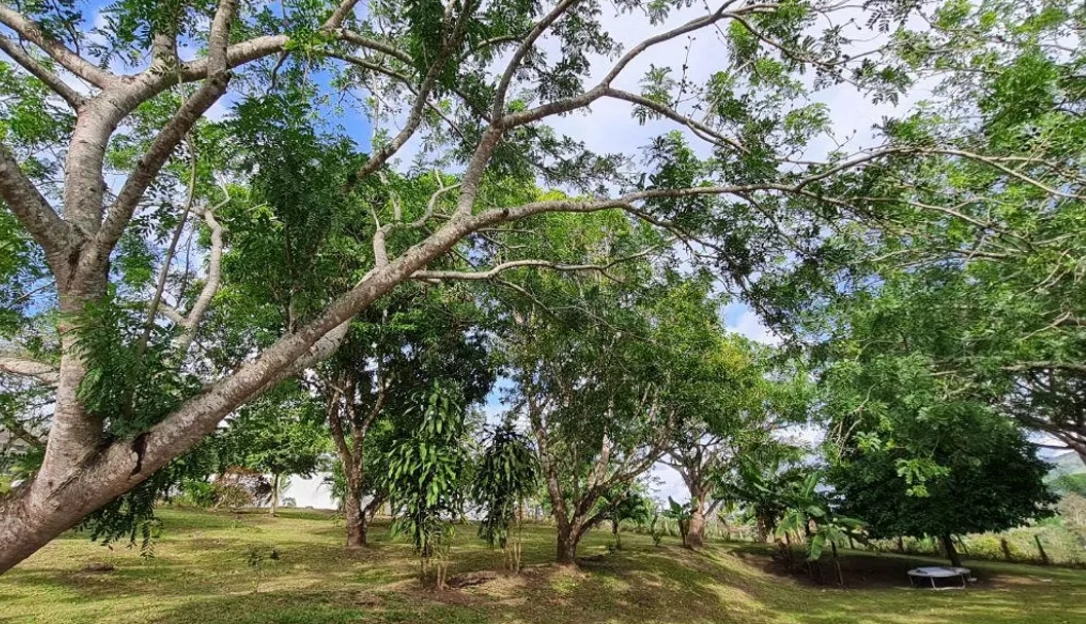 VILLA VIDA TRANQUILA - Modern Bright Home on Lake Front Property-DRASTIC REDUCTION FROM $585,000 - photo 34