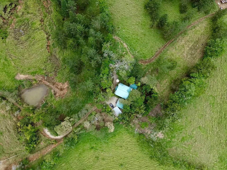 54 Acre Ranch in San Vito, Coto Brus - Gallery image 30