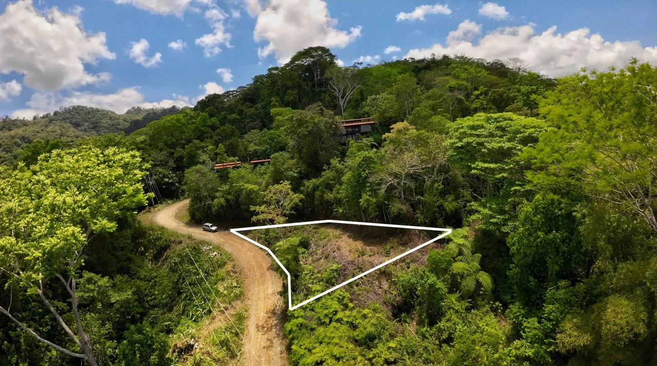 Ocean View Investment Opportunity - Gallery image 2