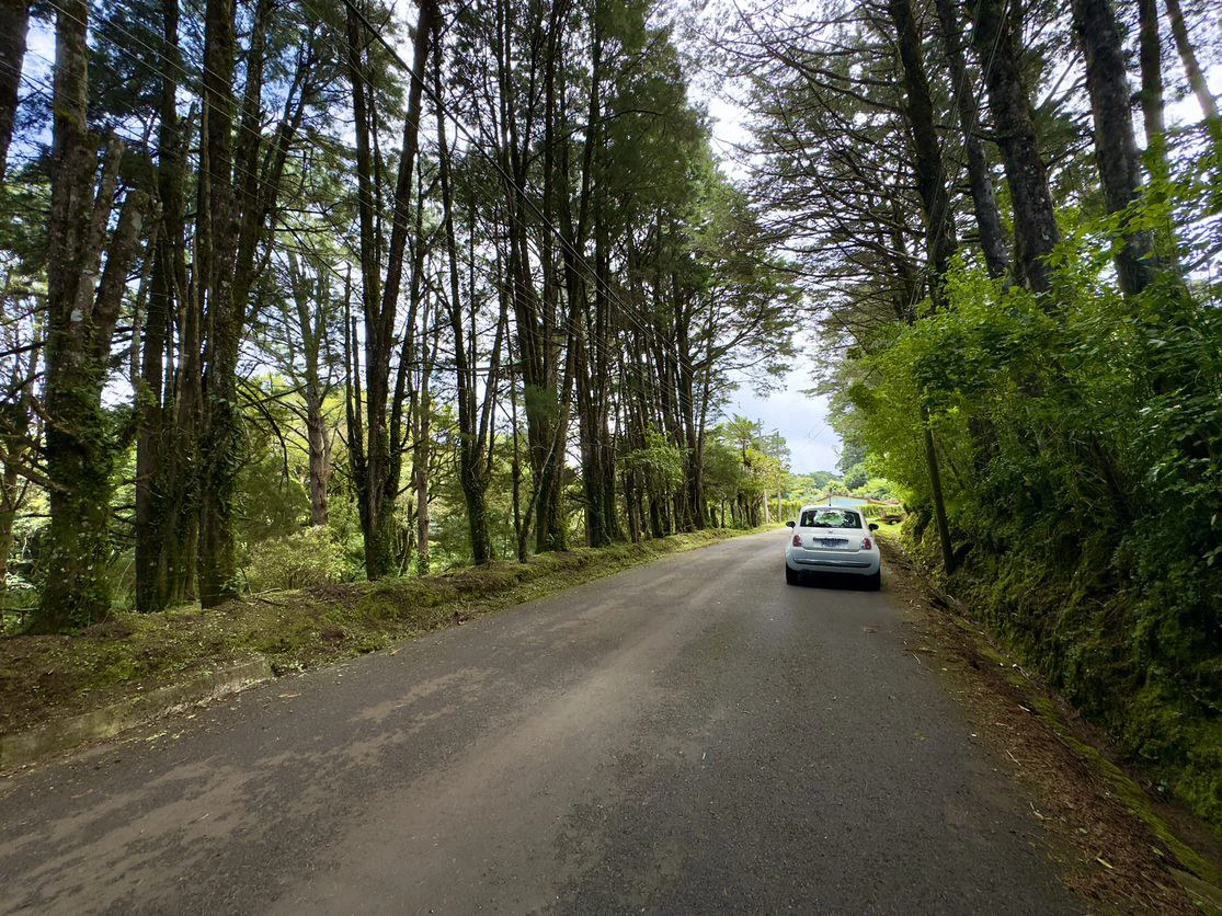 Live in harmony with nature in San Rafael de Heredia - Gallery image 3