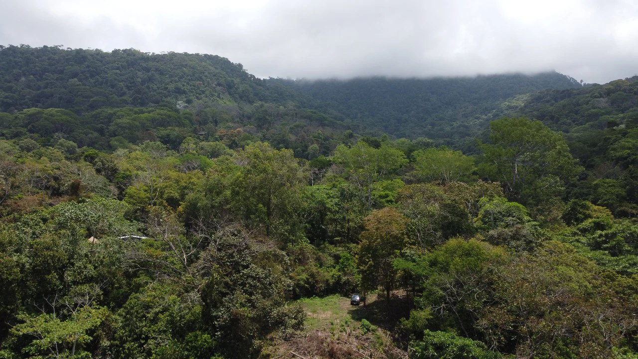 Ocean View Estate Lot with Private Waterfall – Uvita - Gallery image 6