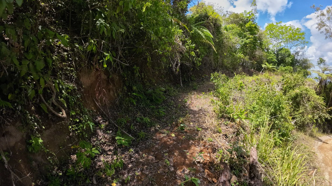 Ocean View Investment Opportunity - Gallery image 19