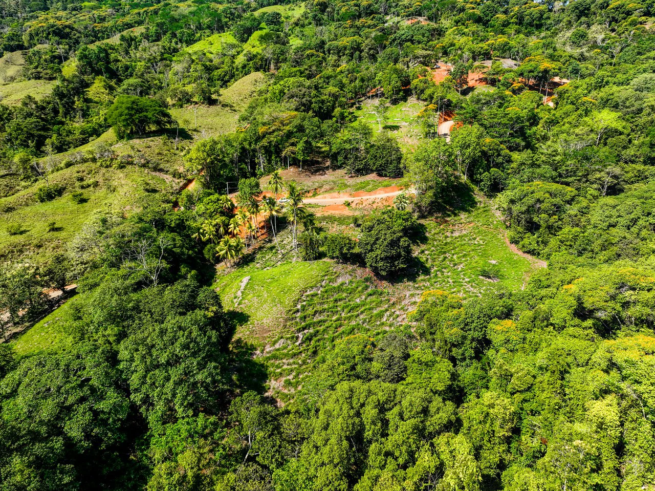 Just Over 3 Acres Riverfront Land in Platanillo Above Dominical - Gallery image 9