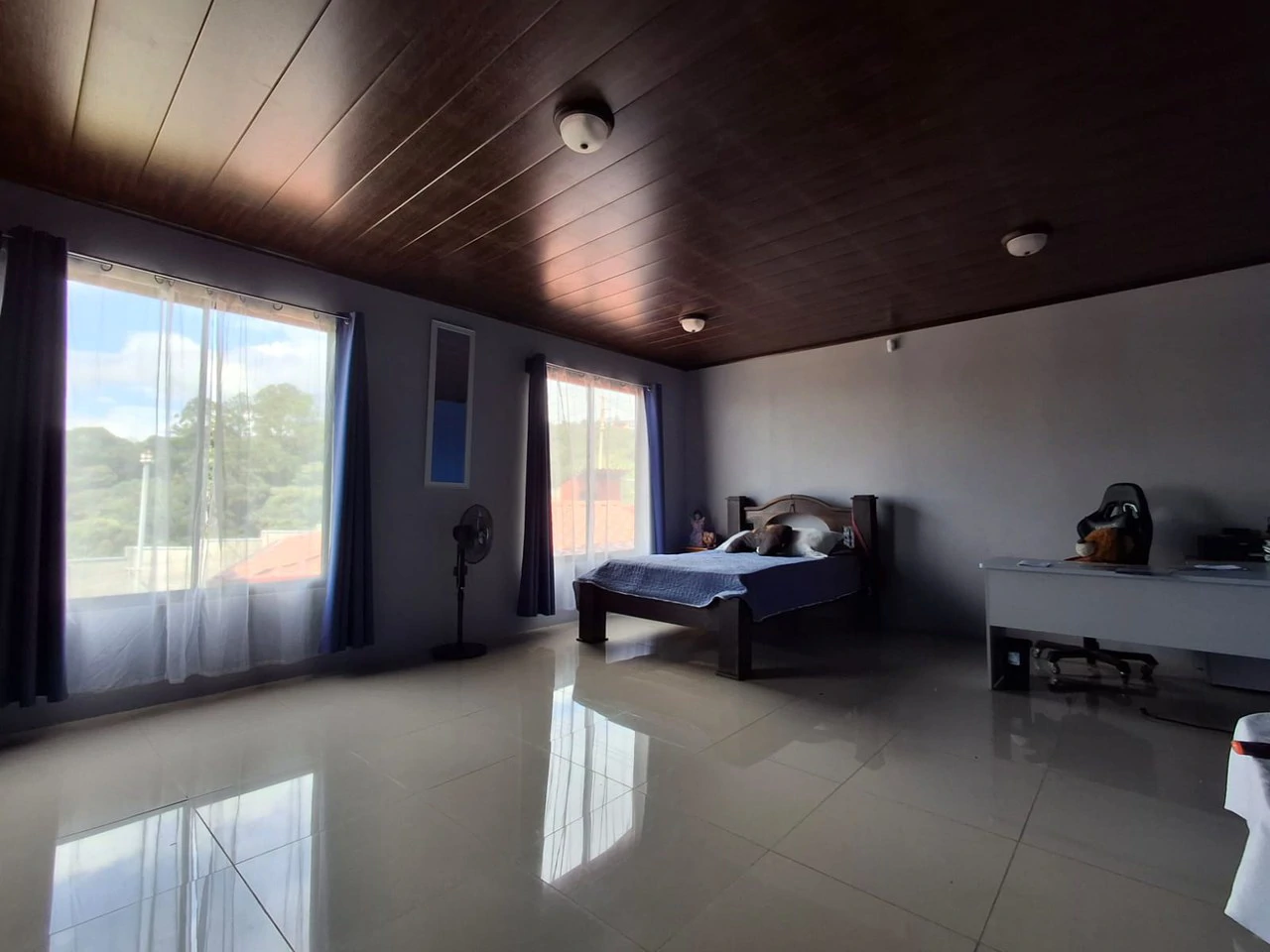 Casa Vista!: 3 level Cityview Hilltop Estate + 27,980m2 - Gallery image 7