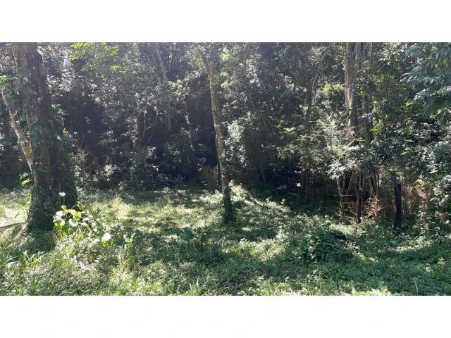 Nature Paradise Farm for sale in the mountains of Quebrada Grande, Building potential property 30 minutes away from Liberia - Gallery image 7