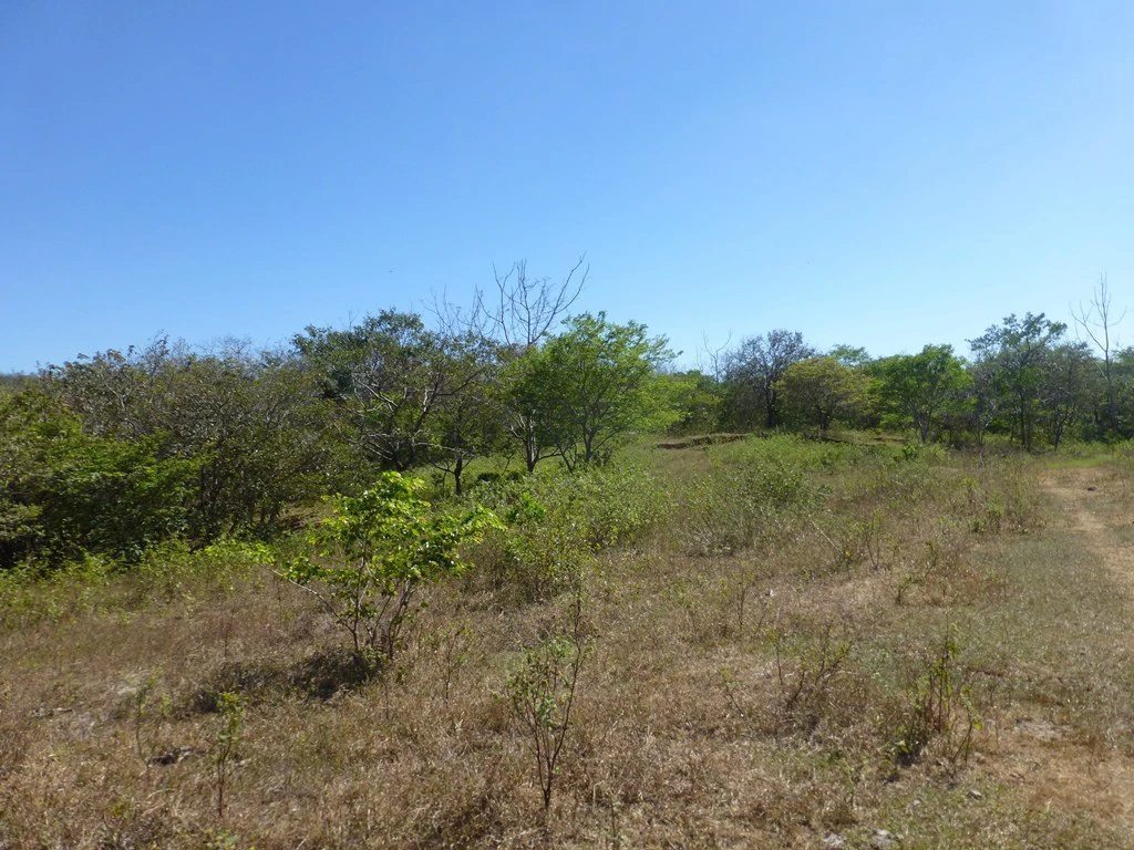 Ocean view farm for sale in the mountains of San Juanillo - Gallery image 2