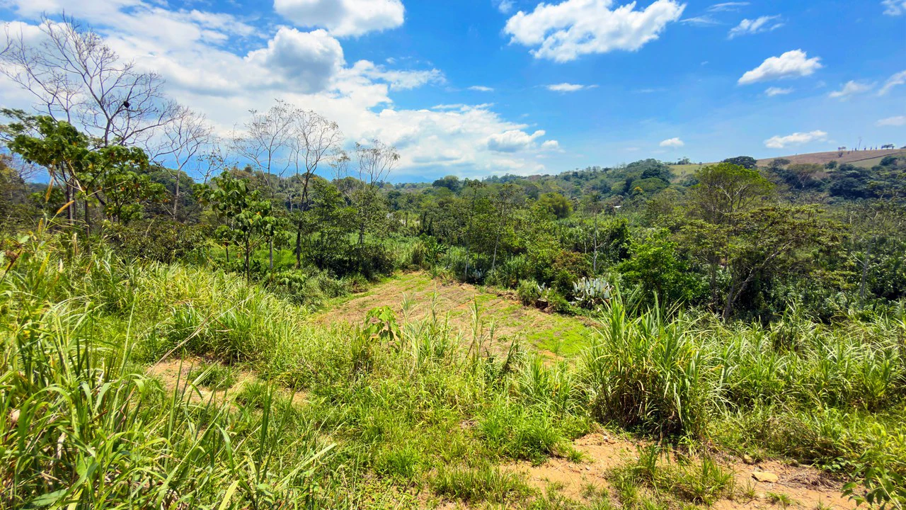 Countryside Home Construction Site For Sale in San Pedro - Gallery image 12