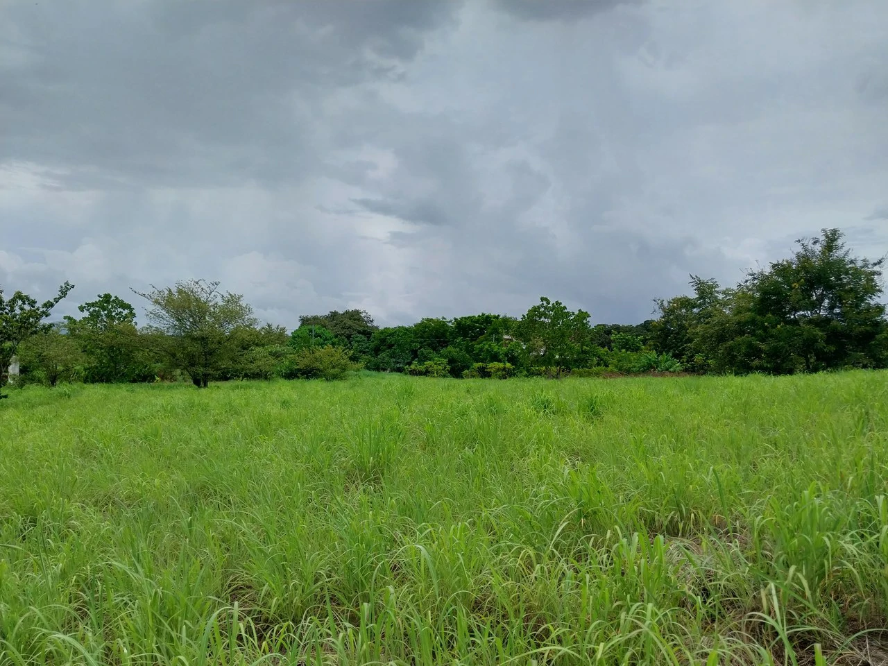 T-182: Volcano view and lot for Sale in Liberia - Gallery image 8