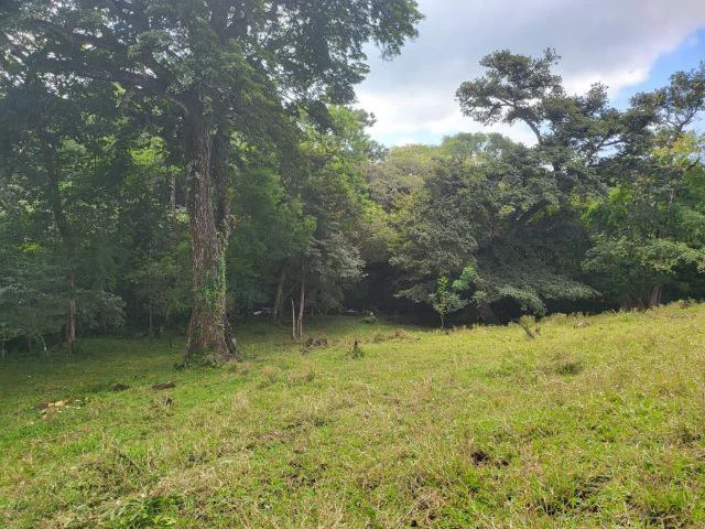 Charming property for sale in Nueva Guatemala with stunning views of the Tenorio Volcano and the beautiful green valleys - Gallery image 7