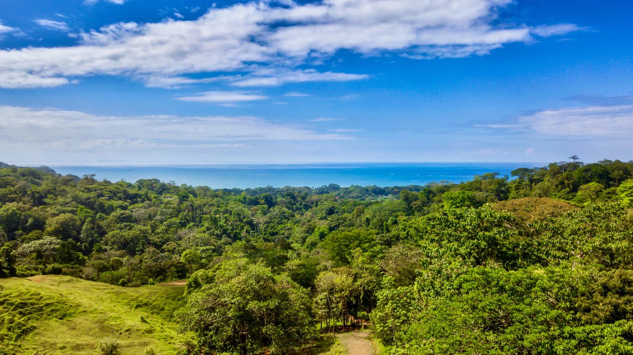2.24 ACRES – 7 Bedrooms Ocean View Boutique Hotel With Two Pools, 5 Minutes to Uvita, Multiple Rental Options!! - Gallery image 4