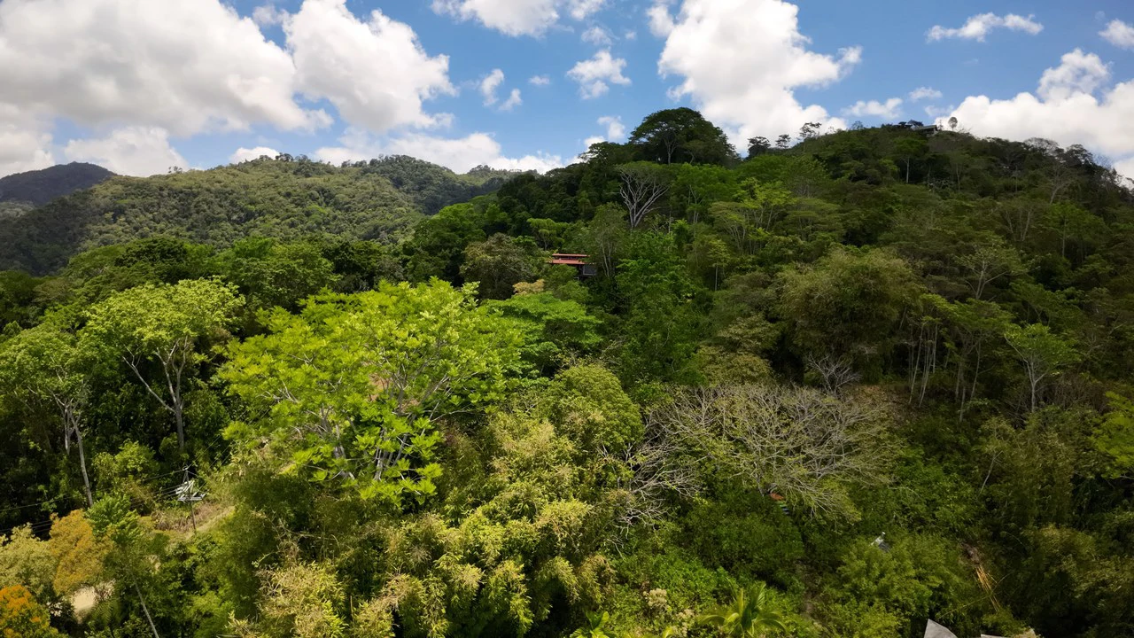Ocean View Investment Opportunity - Gallery image 24