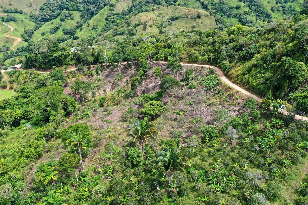 4.6 Acre Tropical Fruit Farm with Elevated Homesite & Valley Views San Isidro - photo 2