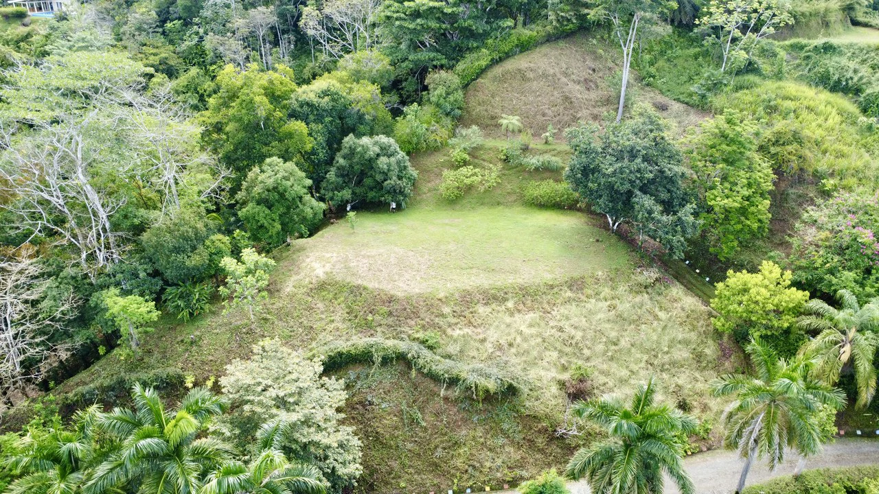 3.6 Acre Ocean View, Near the Beach & Cool Mountain Elevation: Mountain Home Construction Site For Sale in Lagunas