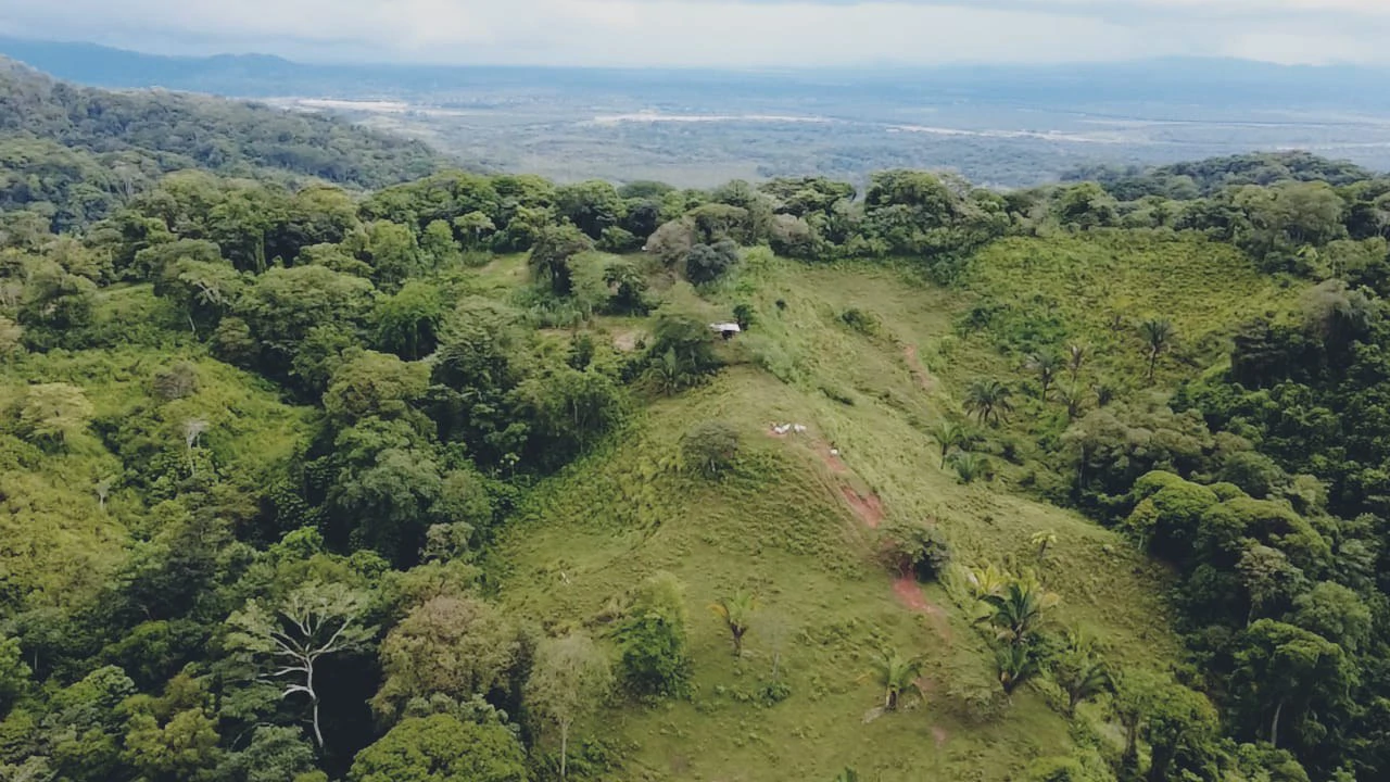 Near the Coast Home Construction Site For Sale in Osa - Gallery image 7