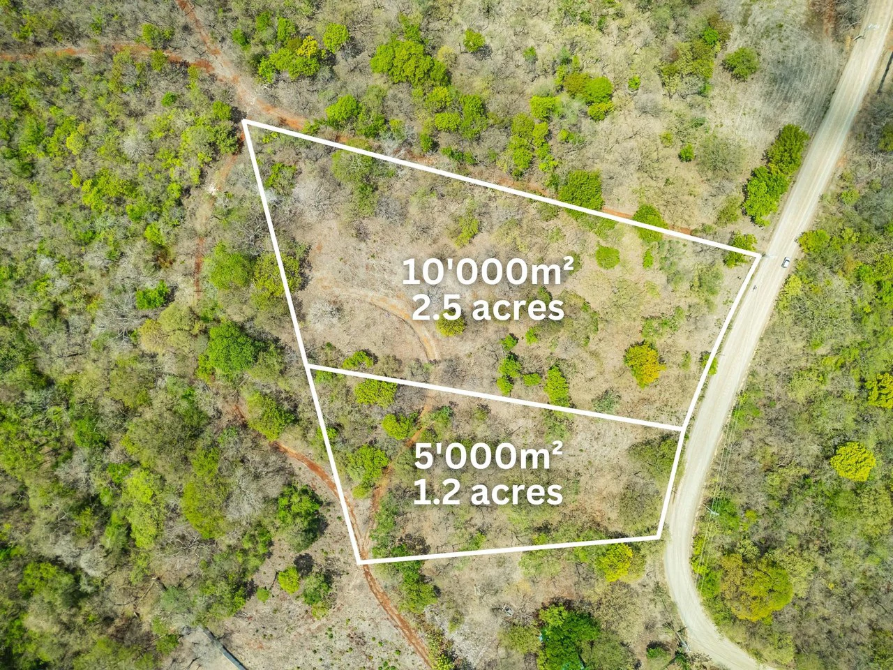 Pura Jungla Lots: Expansive Lots with Water Availability in Los Pargos - Gallery image 15