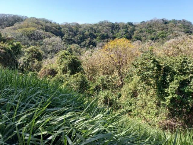 Building Lots for sale in a pristine and peacefull woodland 3 km from Samara Beach