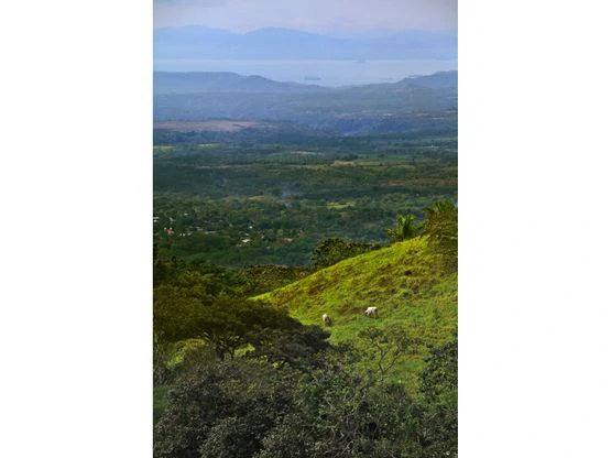 Home Construction Site For Sale in Orotina - Gallery image 23