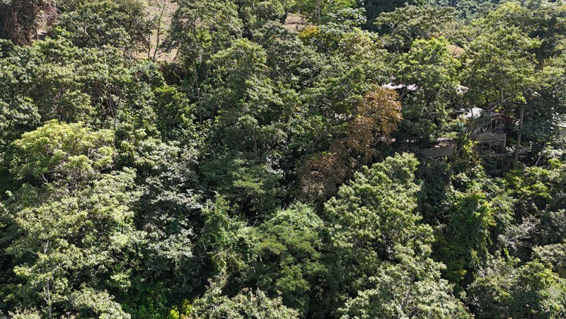 Luxury Gated Ocean-View Land Minutes from Manuel Antonio National Park and Marina - Gallery image 6