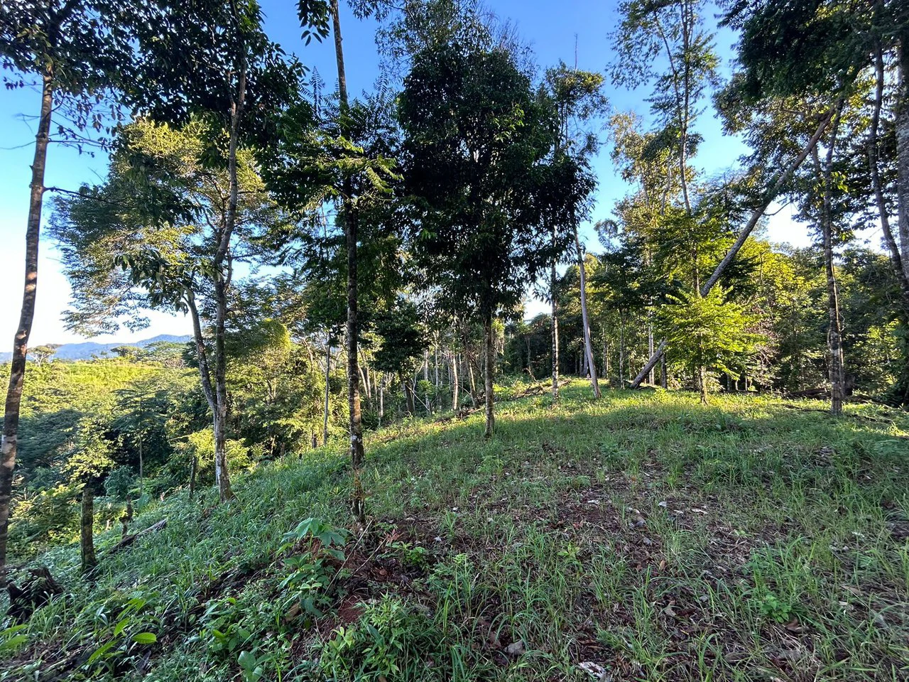Marvelous Ocean View Parcel in Uvita. - Gallery image 23