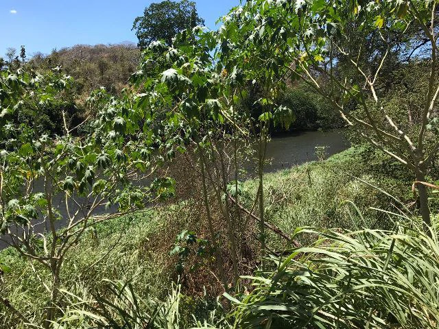 Huge terrain for sale in Guardia close to the International Airport of Liberia - Gallery image 17