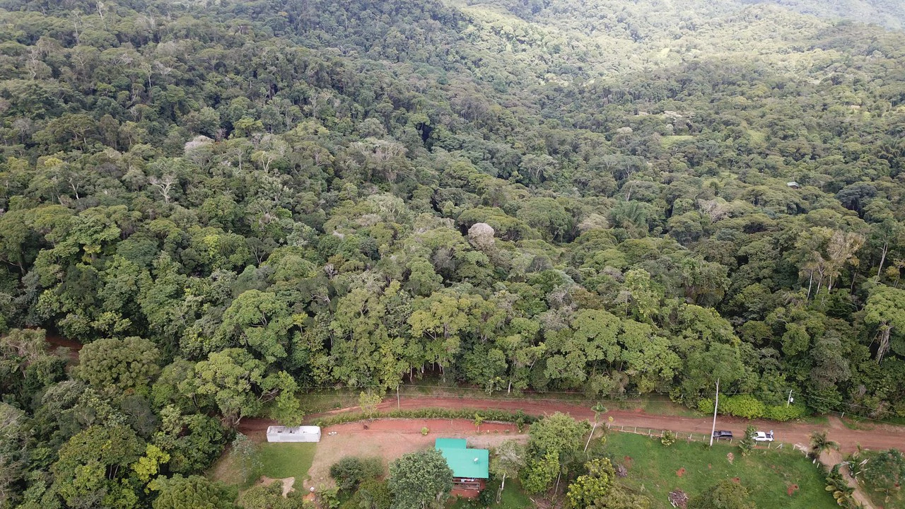 Ocean View Forest Reserve with Private Homesite Near Tinamastes - Gallery image 4