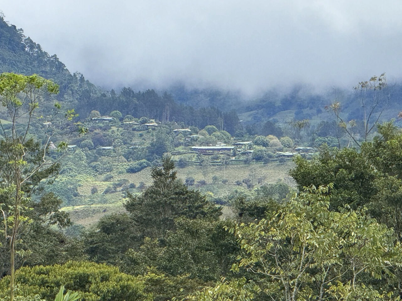 3.2 Acre Riverfront Property with Mountain Views San Francisco San Isidro - Gallery image 24