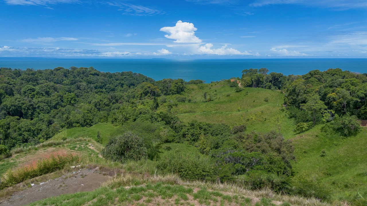 Luxury Ocean View Lot in Piñuelas - Premier Building Site - Gallery image 19