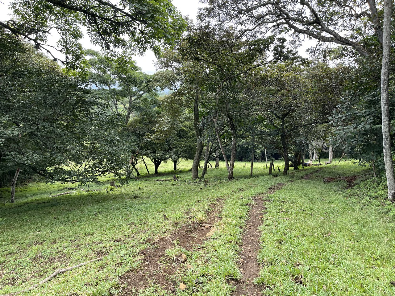 Development land for sale La Garita Alajuela 6.2 hectares - Gallery image 2