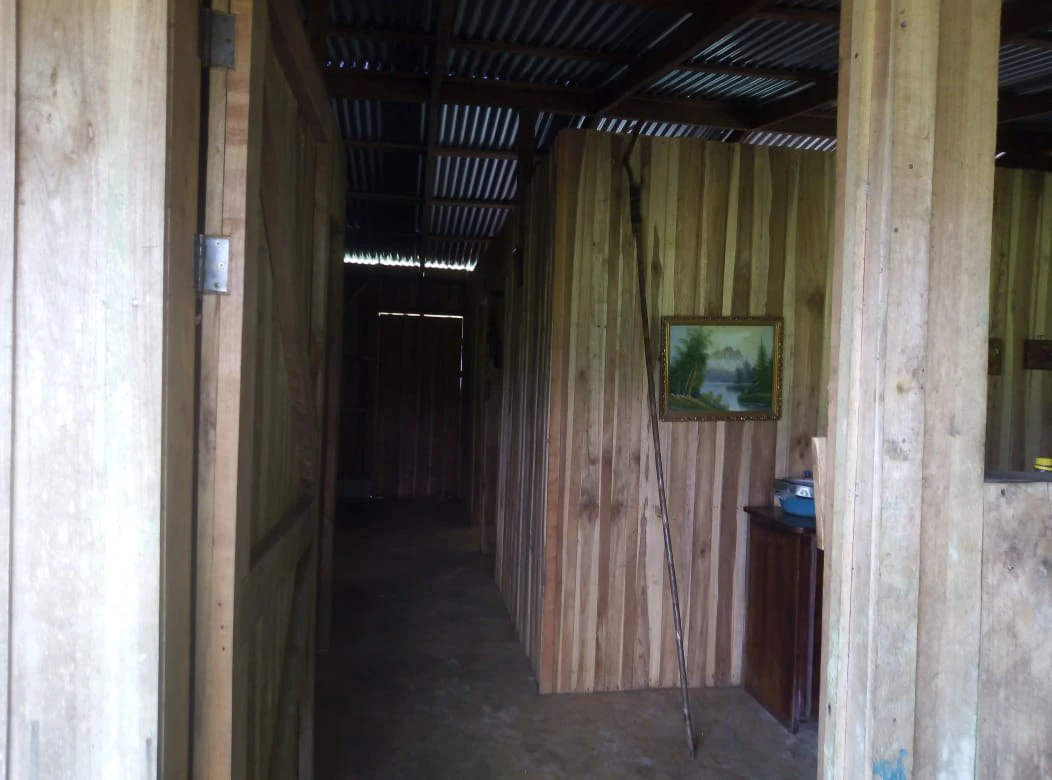 Agricultural farmland for sale in Aguas Claras, Alajuela, 1 house and many fruit trees - Gallery image 23