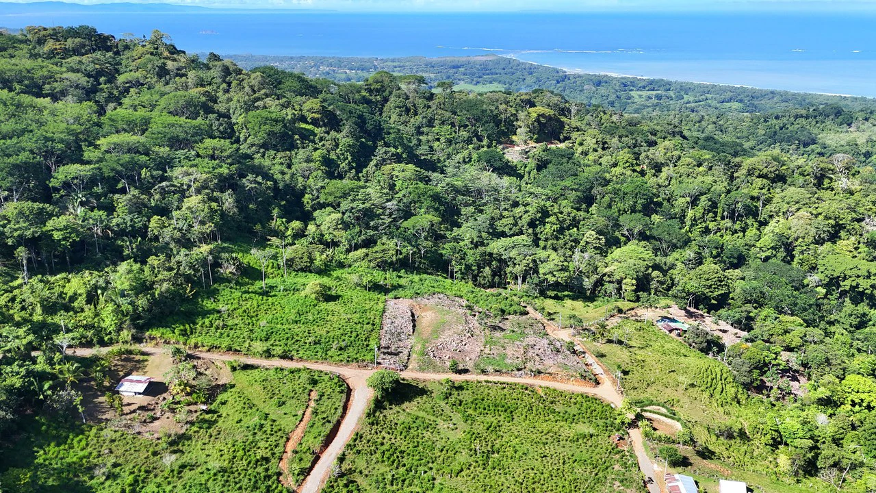 Near the Coast and Mountain Home Construction Site For Sale in Uvita - Gallery image 5