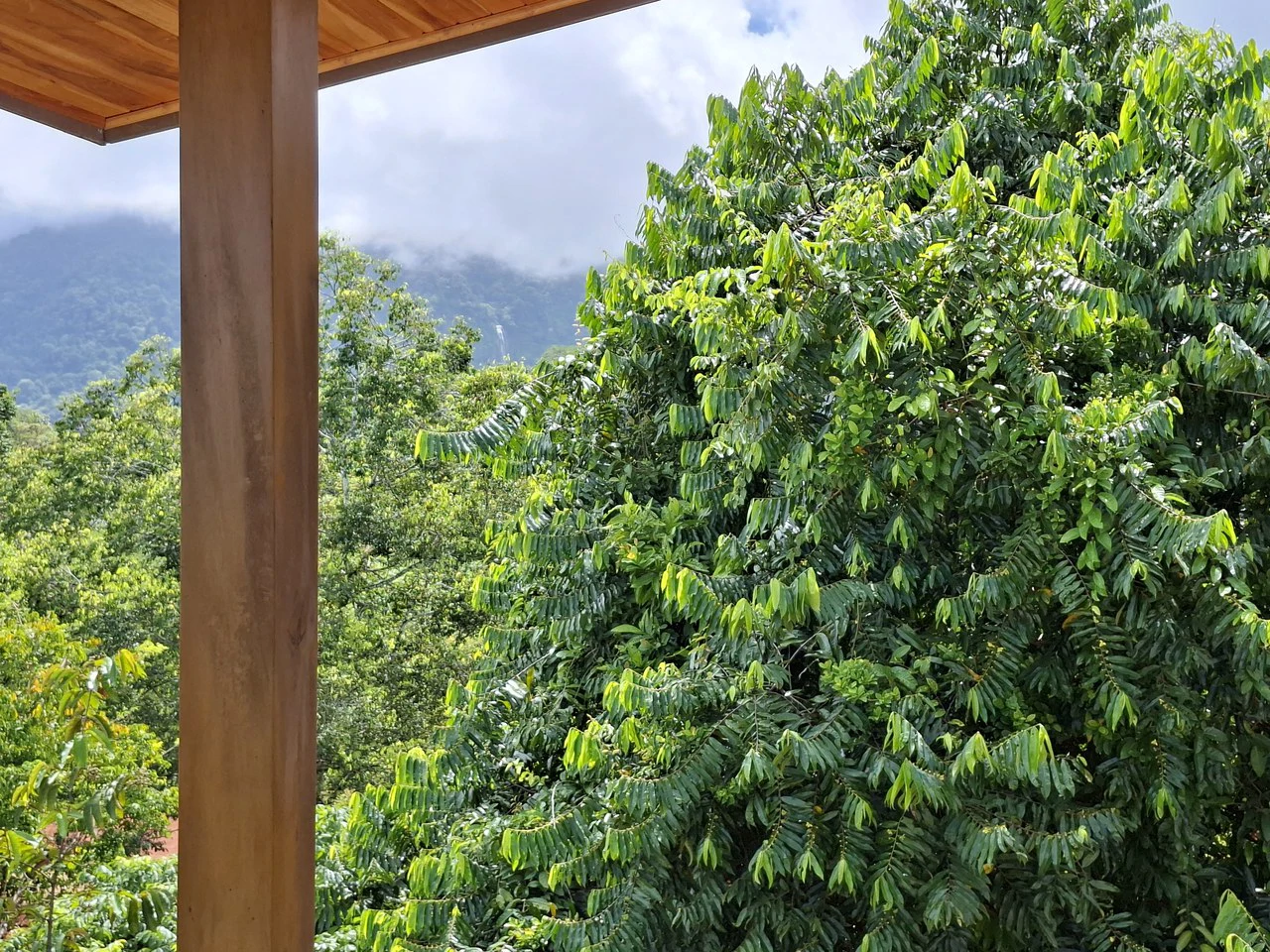 HOLOS Community Modern 2-Bedroom Mountain Home with Diamante Waterfall Views - photo 10