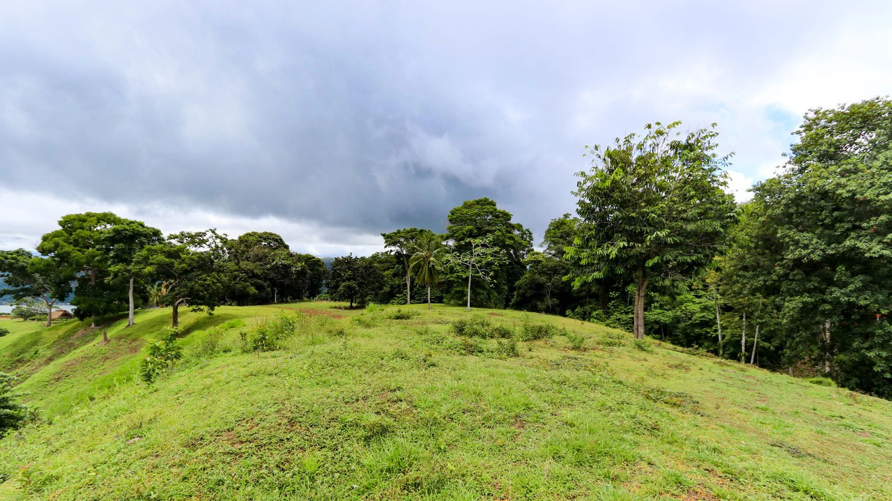 Unique Development Property Overlooking the Pristine Golfito Bay and Golfo Dulce - Gallery image 36