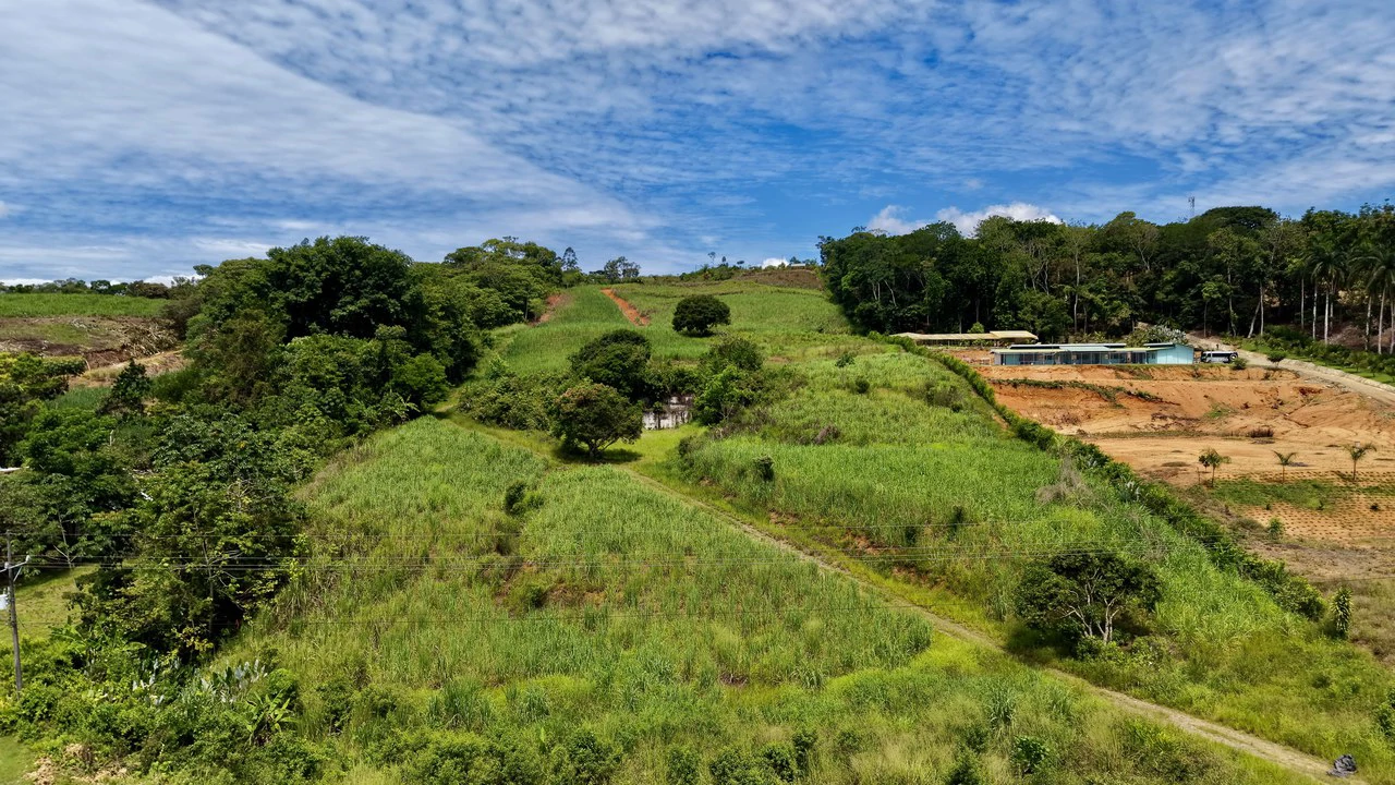 Development Parcel For Sale in Daniel Flores - Gallery image 11