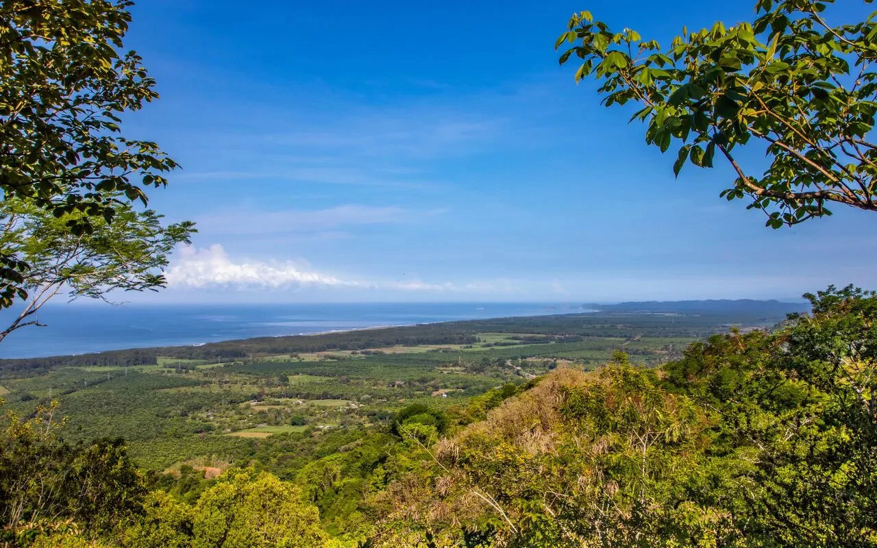 209 ACRES – 3 Bedroom 180 Degree Ocean View Home, Pool, And At Least 4 More Ocean View Building Sites!!!! - Gallery image 26