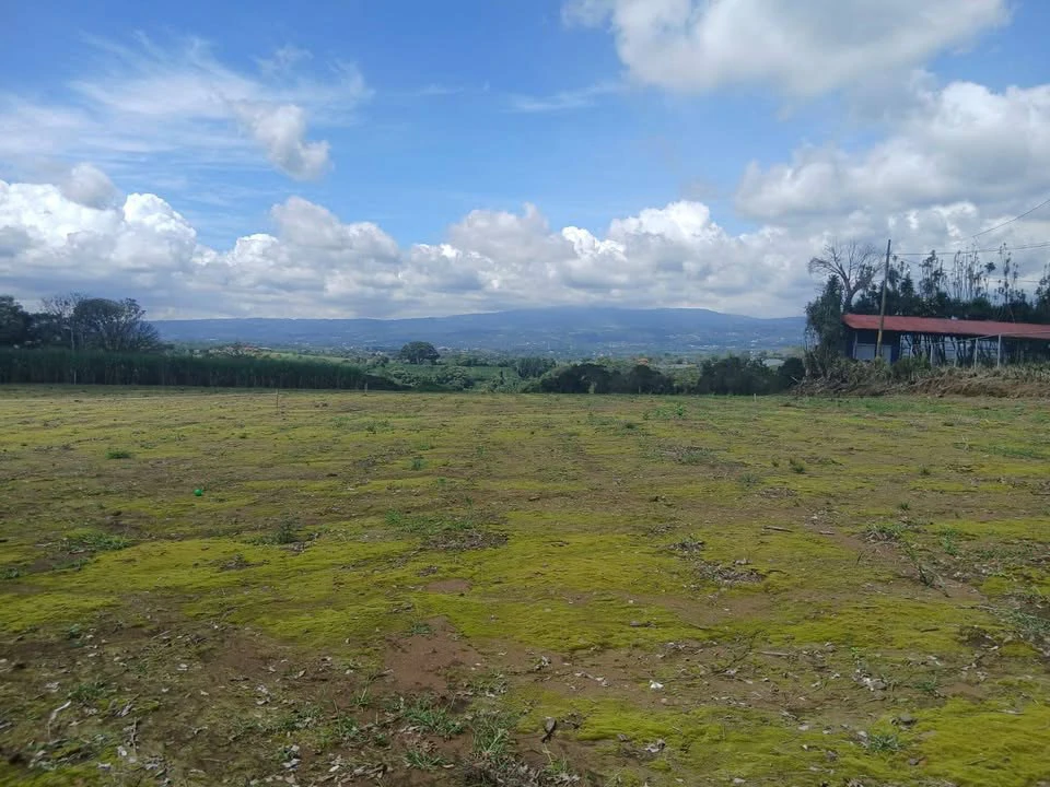 Panoramic Peaceful Escape...: 6,110 m2 with Unobstructed City Views!