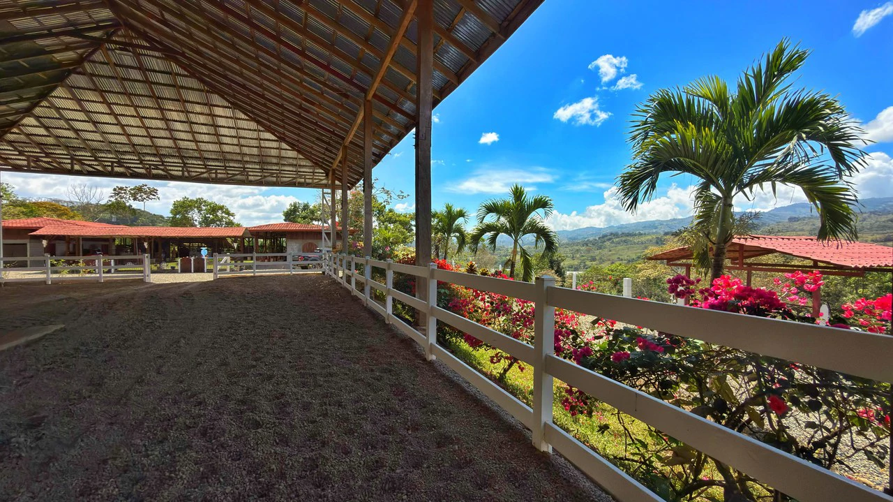 Agricultural Land For Sale in Daniel Flores - Gallery image 15