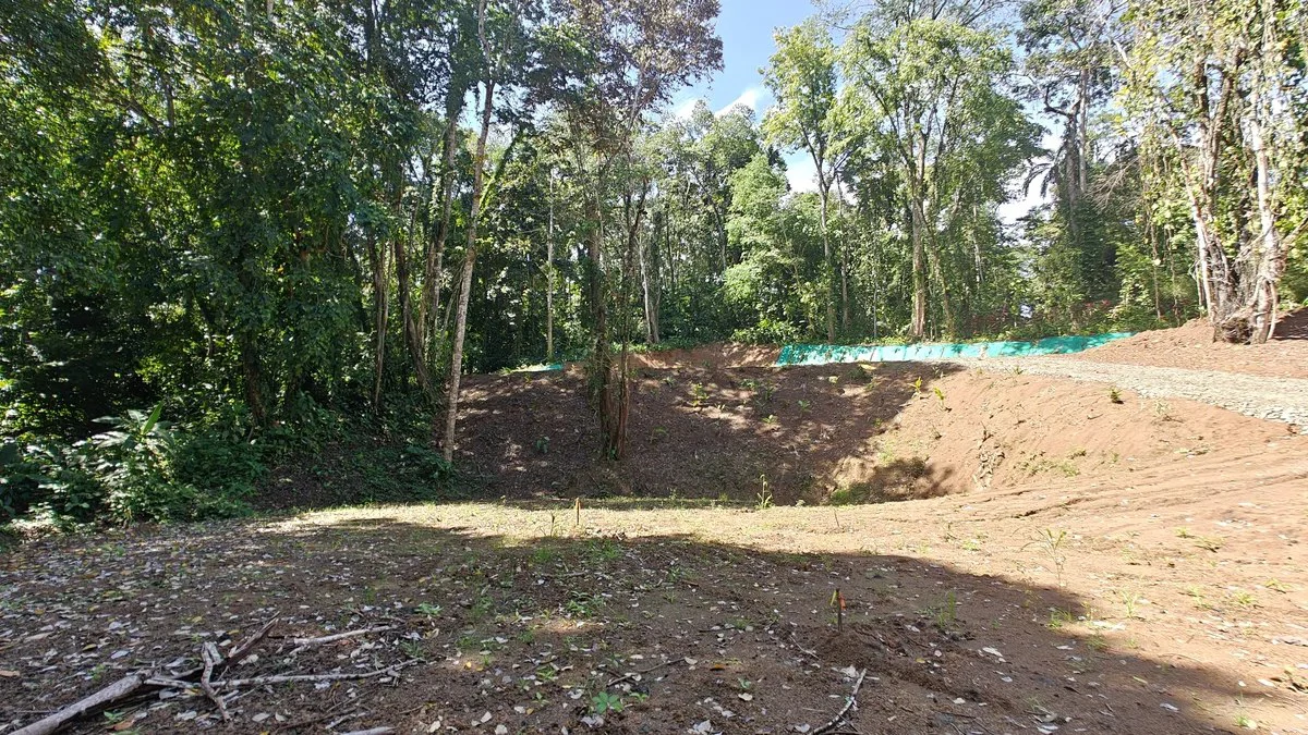 ID  1011: 7535m² Cahuita Land Near the Beach with Building Platform