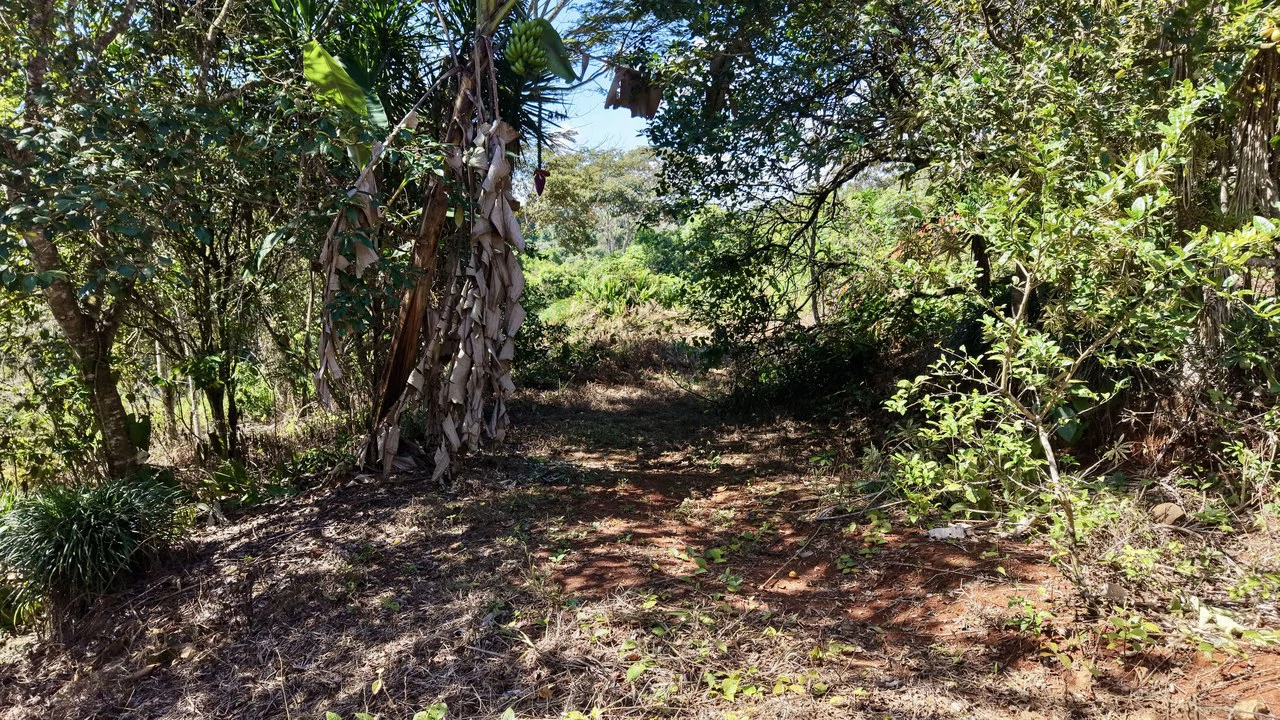 Home Construction Site For Sale in Pavones - Gallery image 11