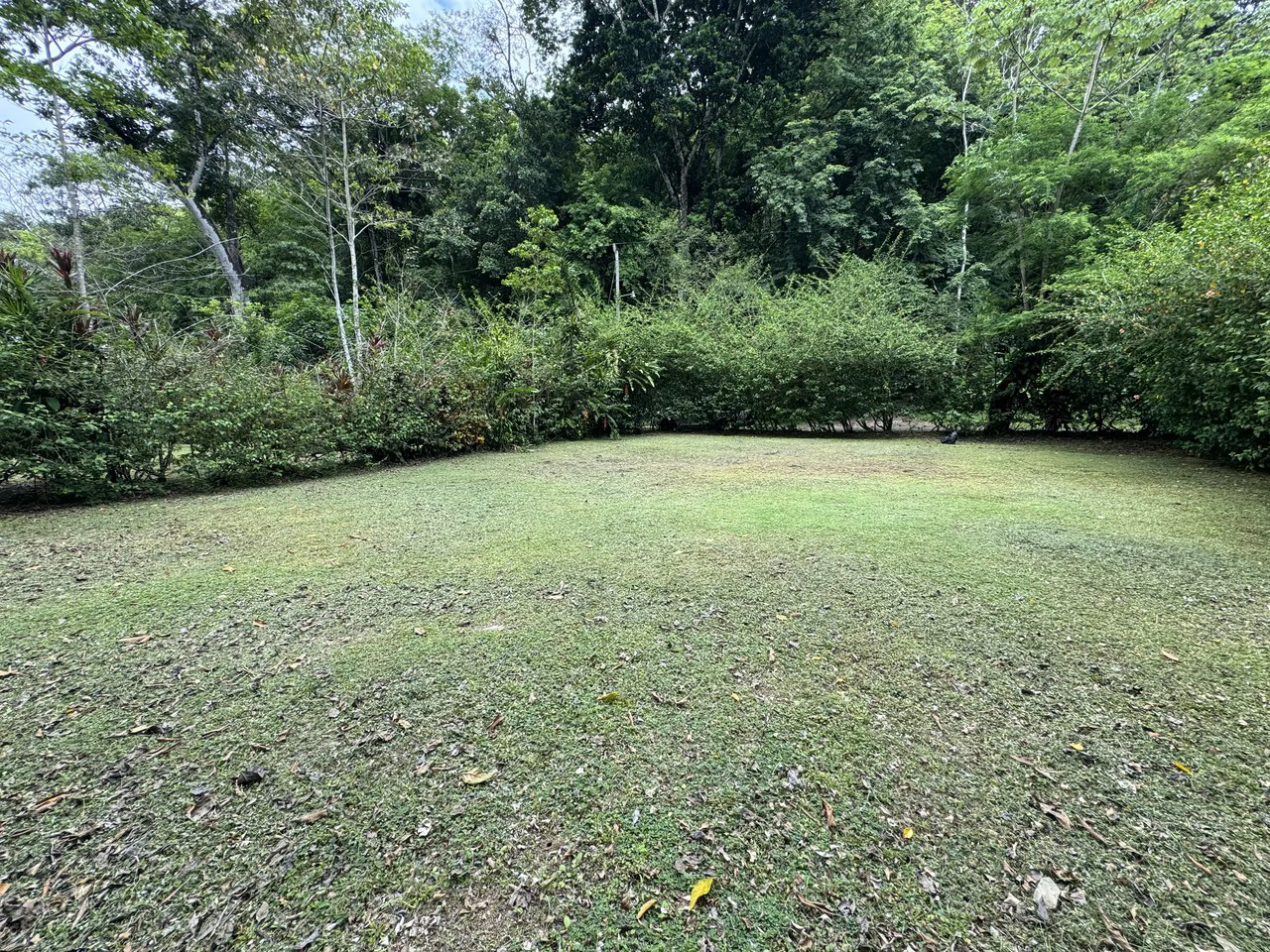 Riverfront Oasis on the Barú River Playa Dominical - Gallery image 15