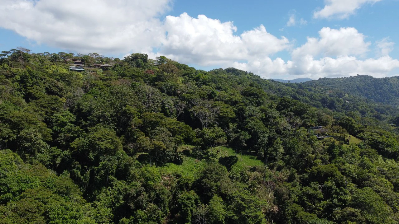 Exclusive 5.80 acres Ocean View Estate Lot in Costa Verde Estates – Escaleras - Gallery image 9